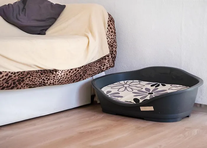 Wanderpfotens Ostsee Сasa de vacaciones *